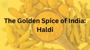 Turmeric root and ground spice, illustrating the multi-faceted properties and traditional applications of Haldi."