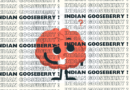 Indian Gooseberry