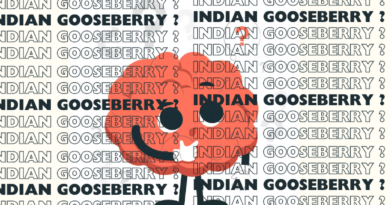 Indian Gooseberry